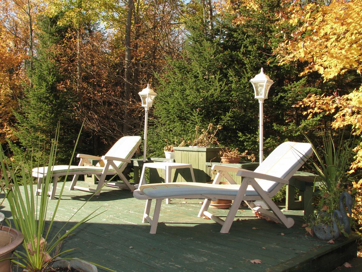 Arkadia Eastman B&B Bagian luar foto